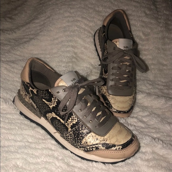 COACH SNAKESKIN FASHION SNEAKERS - Picture 1 of 6